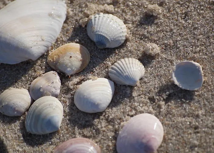 3 Deby אכסניה *